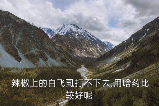  辣椒上的白飛虱打不下去,用啥藥比較好呢