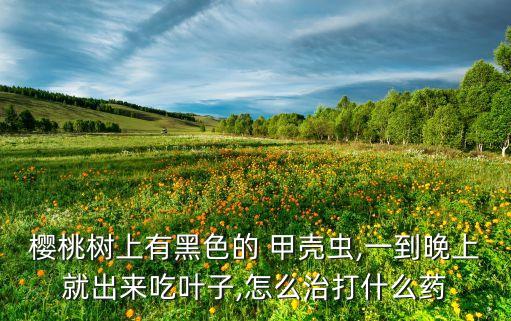 櫻桃樹上有黑色的 甲殼蟲,一到晚上就出來吃葉子,怎么治打什么藥