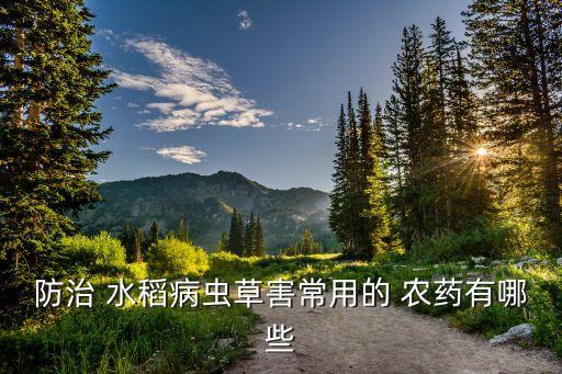 防治 水稻病蟲草害常用的 農藥有哪些