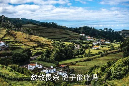 鴿子吃什么農藥會死,鴿子會誤吃什么農藥