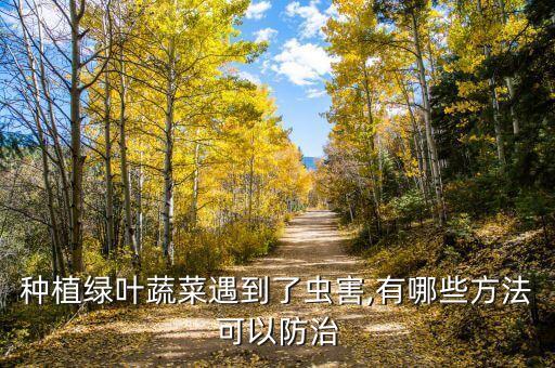 種植綠葉蔬菜遇到了蟲害,有哪些方法可以防治