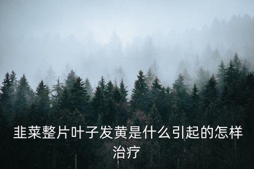 韭菜黃葉用什么農藥,韭菜上一般打什么農藥