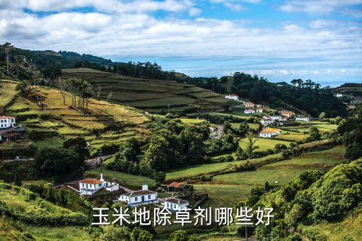 什么農(nóng)藥能殺死玉米苗,玉米前期打什么農(nóng)藥好用