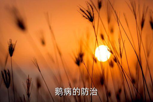 鵝病的防治