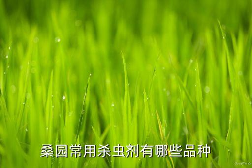 什么農藥能殺死葉蟬,葉蟬用什么農藥