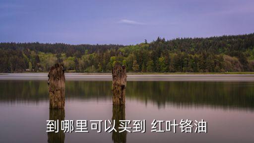 到哪里可以買到 紅葉鉻油