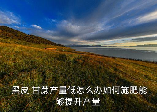  黑皮 甘蔗產量低怎么辦如何施肥能夠提升產量