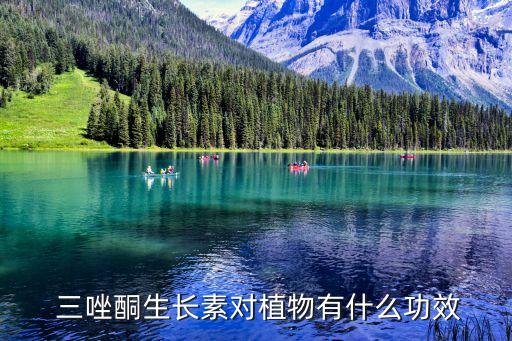 農藥三唑酮起什么作用,三唑酮有什么作用