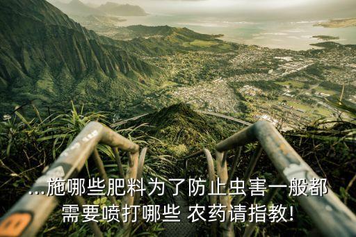 桉樹里面的蟲叫什么,桉樹蟲用什么農藥打