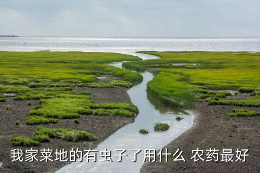 我家菜地的有蟲子了用什么 農藥最好