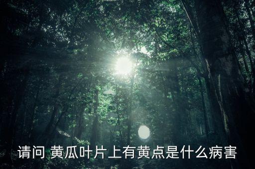 黃瓜用什么農(nóng)藥打最好,黃瓜葉子黃用什么農(nóng)藥
