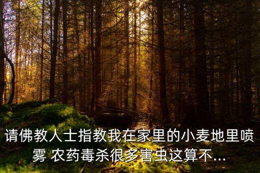 請佛教人士指教我在家里的小麥地里噴霧 農藥毒殺很多害蟲這算不...