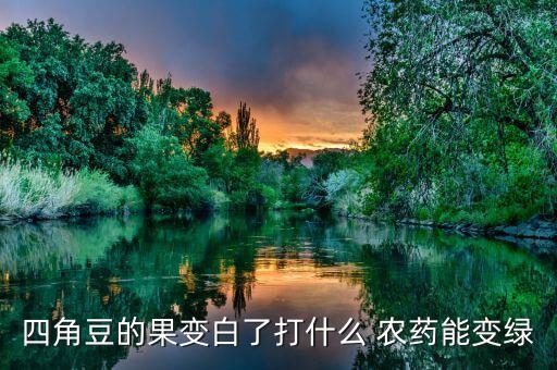四角豆的果變白了打什么 農藥能變綠
