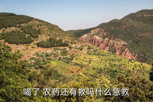 有人喝農藥了吃什么藥,喝農藥后吃什么補品恢復快