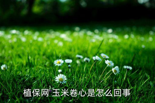 玉米生卷心病施什么農(nóng)藥