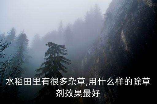 水稻田里有很多雜草,用什么樣的除草劑效果最好