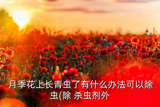 月季花上長青蟲了有什么辦法可以除蟲(除 殺蟲劑外