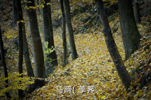 打荸薺什么農藥效果好使,荸薺汁擦臉有什么效果