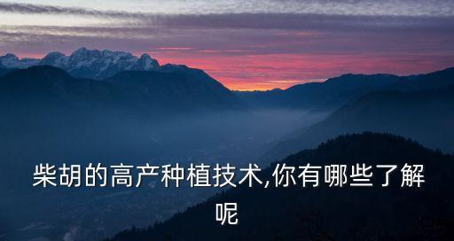 柴胡的高產種植技術,你有哪些了解呢