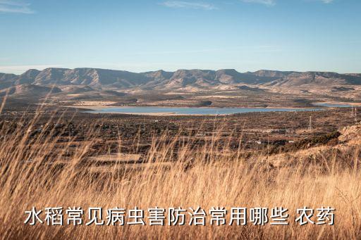 水稻常見病蟲害防治常用哪些 農藥