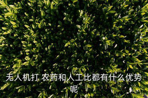 可以噴農(nóng)藥的飛機(jī)叫什么