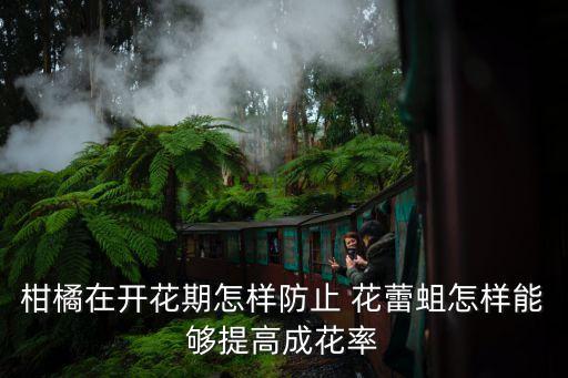 什么農(nóng)藥使花蕾快點開,喝什么農(nóng)藥死的快點