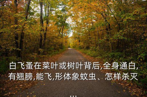 白飛蚤在菜葉或樹葉背后,全身通白,有翹膀,能飛,形體象蚊蟲、怎樣殺滅...