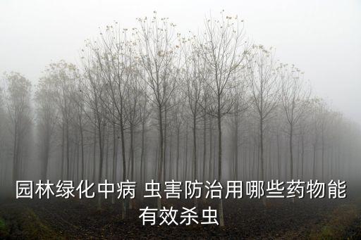 什么農藥可以殺死蟲害,白醋加農藥能殺死蔬菜蟲害