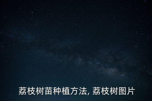 荔枝樹苗種植方法, 荔枝樹圖片