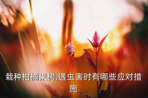 栽種柑橘果樹,遇蟲害時有哪些應對措施