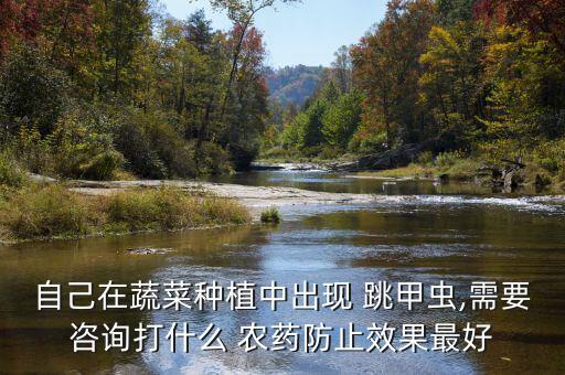 自己在蔬菜種植中出現(xiàn) 跳甲蟲,需要咨詢打什么 農(nóng)藥防止效果最好