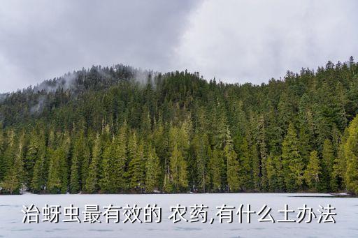 治蚜蟲最有效的 農(nóng)藥,有什么土辦法