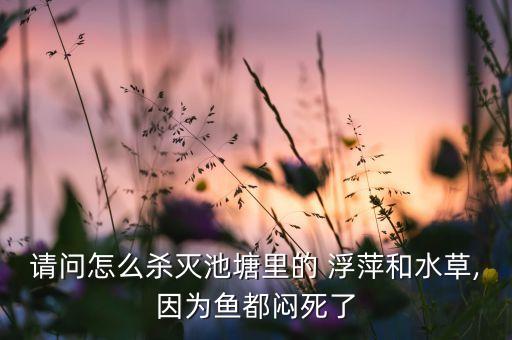 什么農藥能殺死浮萍,水面浮萍用什么農藥