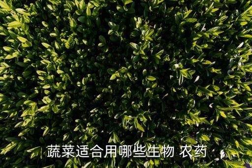農(nóng)藥對(duì)蔬菜有什么好處,無農(nóng)藥蔬菜的好處