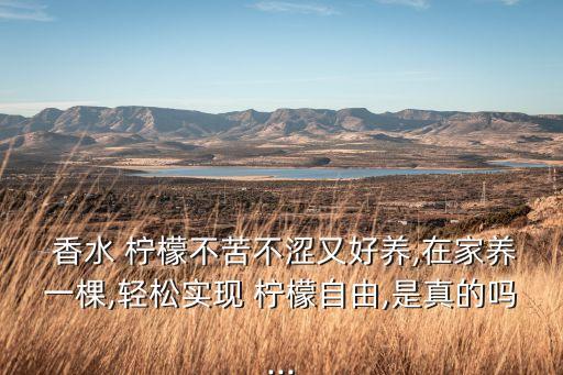 香水檸檬用什么農藥好