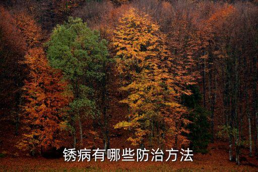 水稻紅秀病打什么農(nóng)藥
