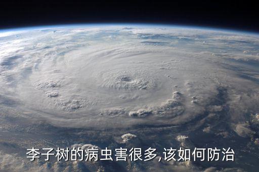  李子樹的病蟲害很多,該如何防治