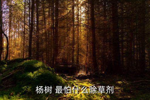 楊樹 最怕什么除草劑