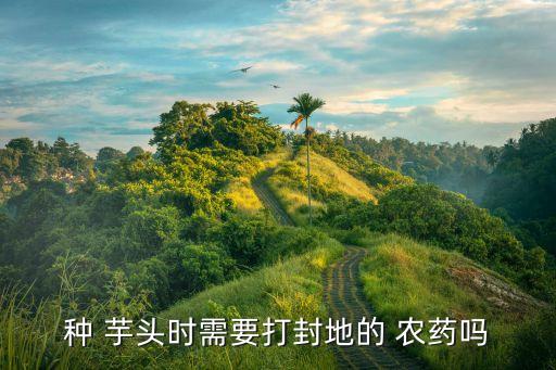 種 芋頭時需要打封地的 農藥嗎