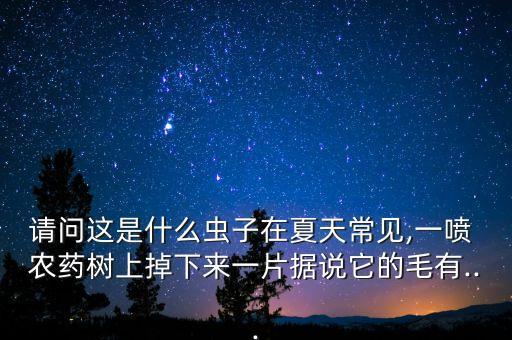 請問這是什么蟲子在夏天常見,一噴 農藥樹上掉下來一片據說它的毛有...