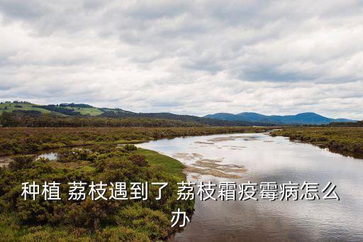 荔枝木最怕什么農(nóng)藥殺蟲(chóng),荔枝樹(shù)怕什么農(nóng)藥