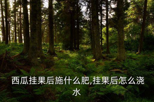 西瓜坐果噴什么農藥,西瓜不坐果什么原因