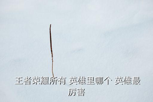  王者榮耀所有 英雄里哪個 英雄最厲害