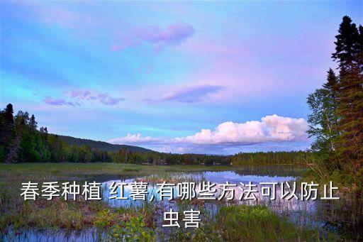 春季種植 紅薯,有哪些方法可以防止蟲害