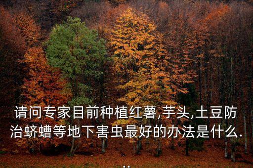 請問專家目前種植紅薯,芋頭,土豆防治蠐螬等地下害蟲最好的辦法是什么...
