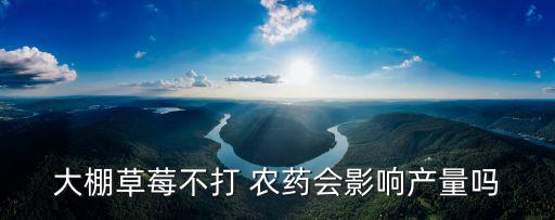 大棚草莓不打 農藥會影響產量嗎