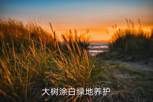 大樹涂白綠地養護