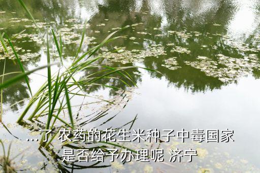 ...了 農(nóng)藥的花生米種子中毒國家是否給予辦理呢 濟(jì)寧