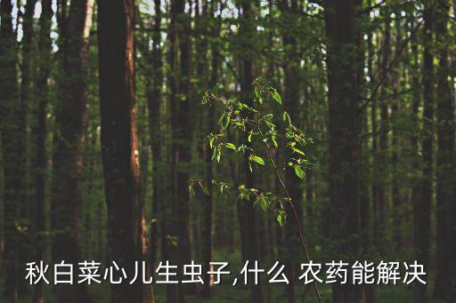 秋白菜心兒生蟲子,什么 農藥能解決