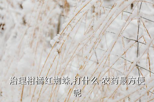 治理柑橘紅蜘蛛,打什么 農藥最方便呢